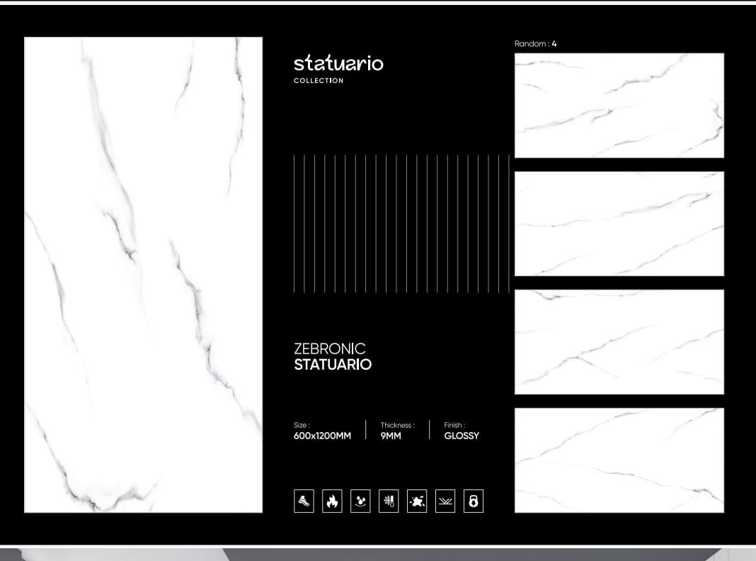 ZEBRONIC STATURIO